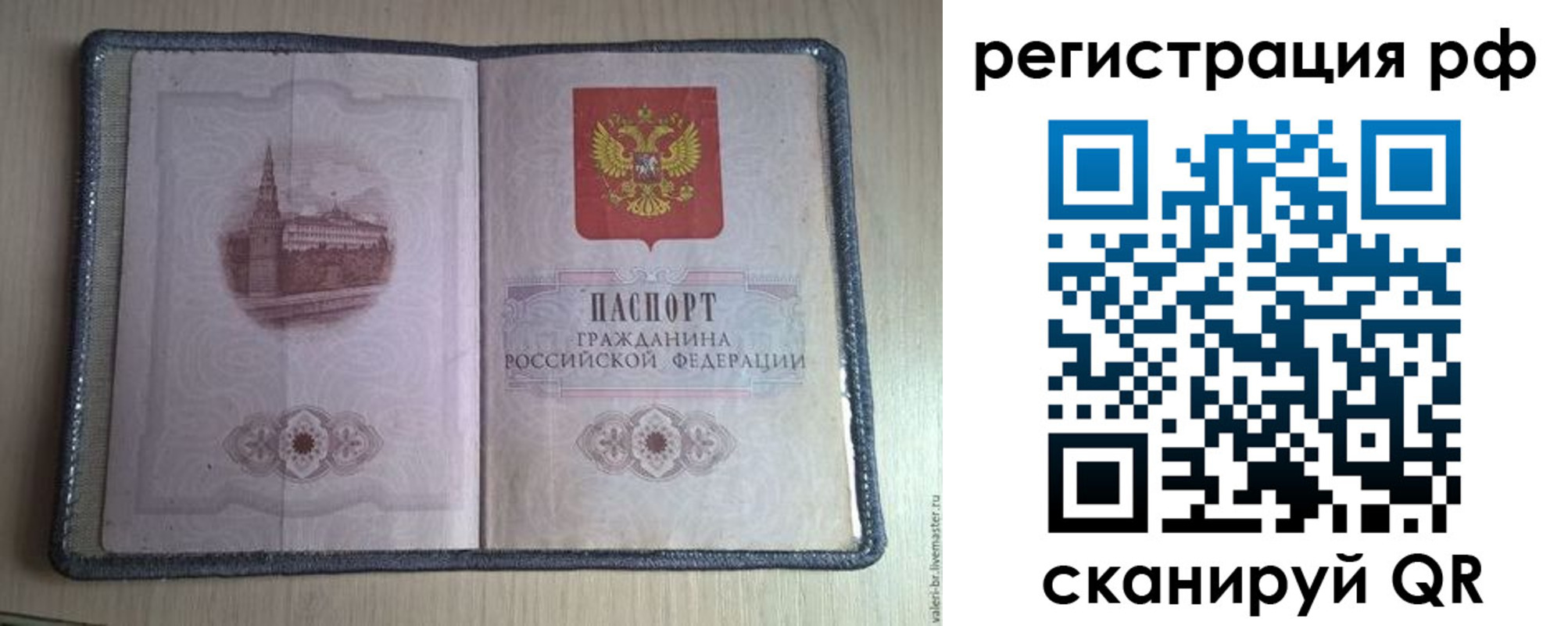 прописка поиск в Шелехове